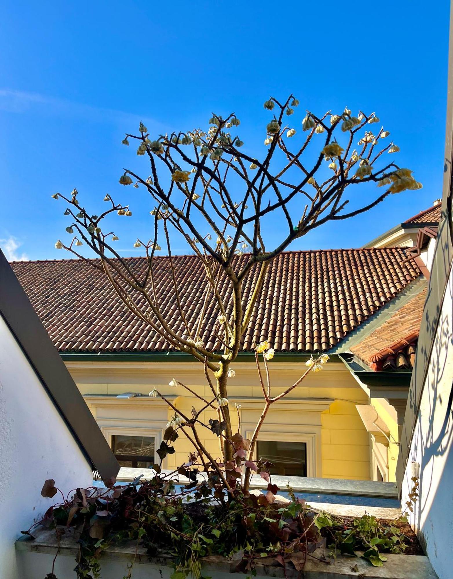 Ferienwohnung Luxury Loft Mailand Exterior foto